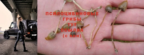 прущий лед Киренск