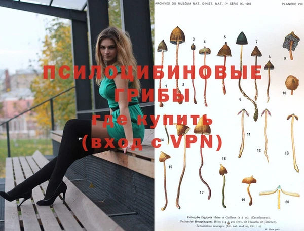 мяу мяу кристалл Арсеньев